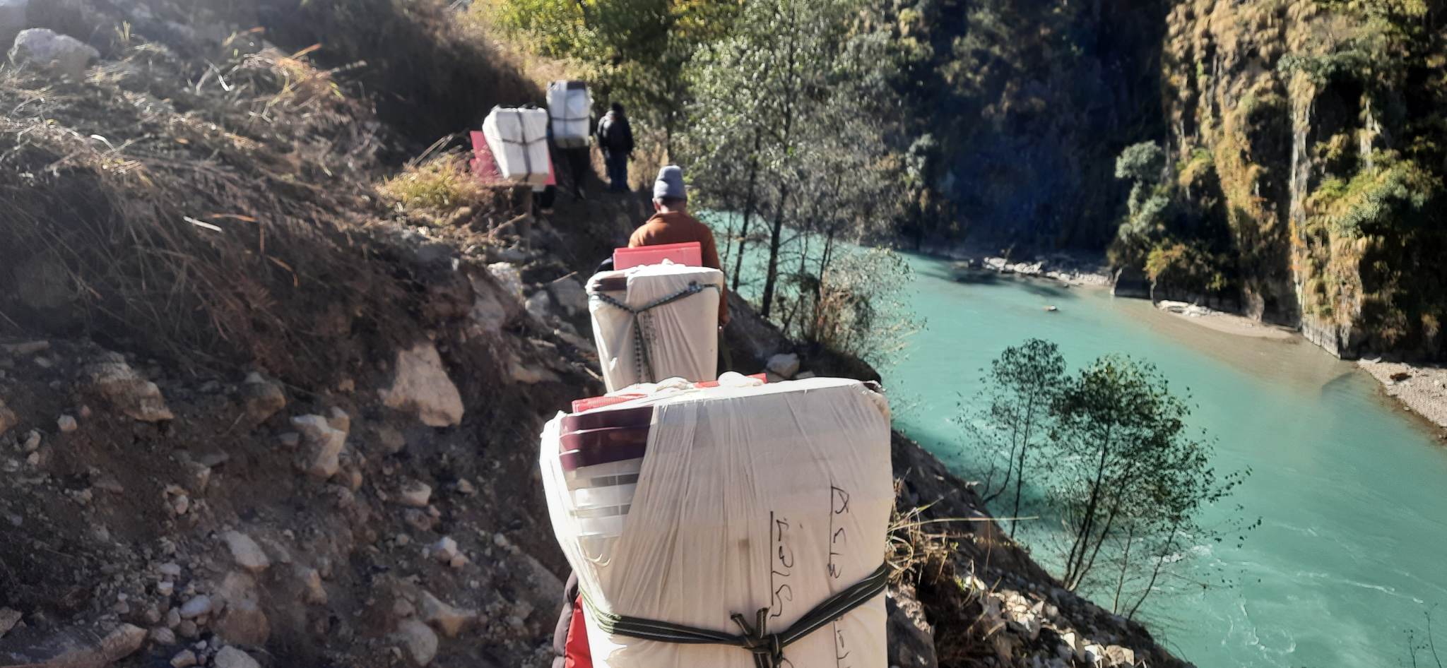PhotoHumla20221118 (3)