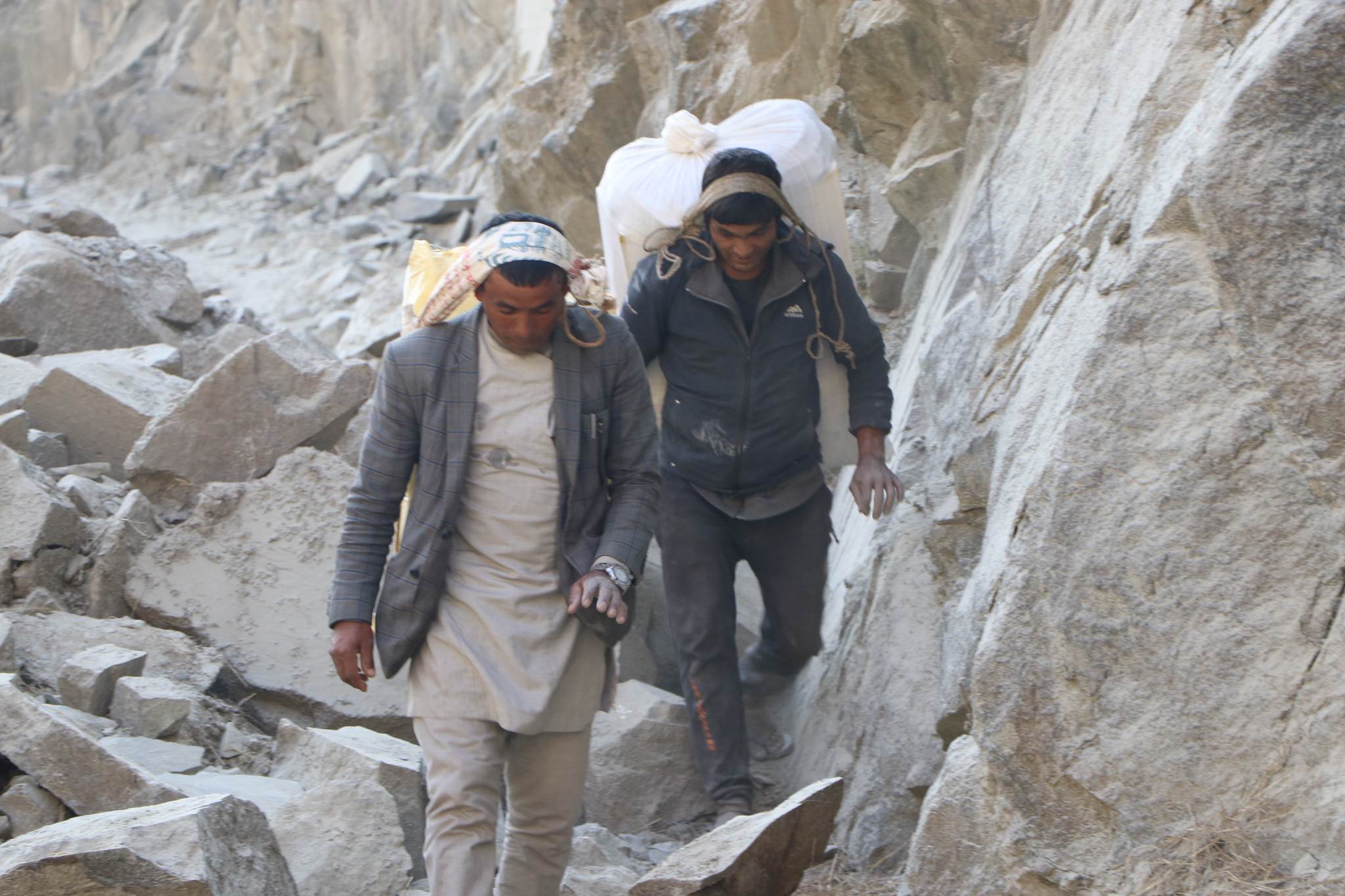 PhotoHumla20221119 (2)