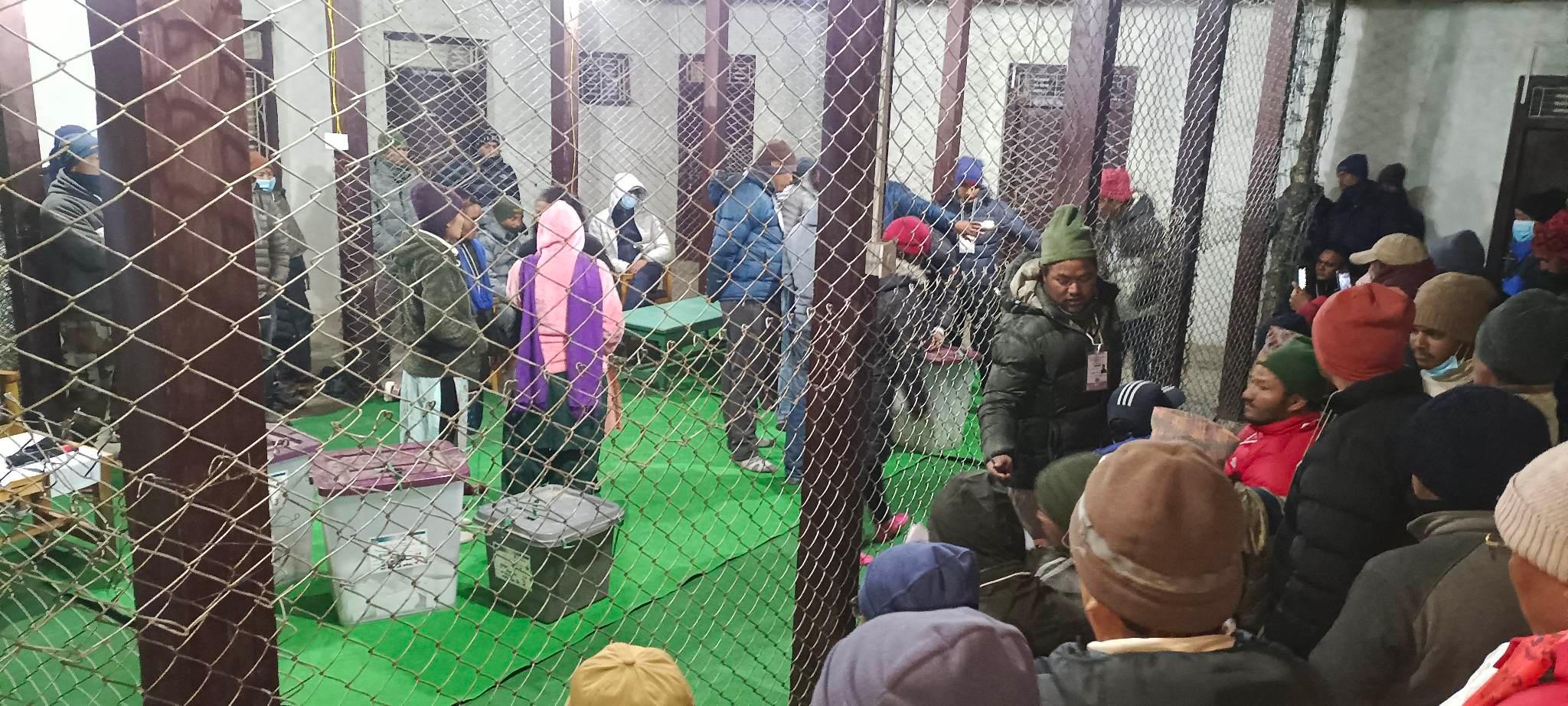 PhotoHumla20221124 (3)
