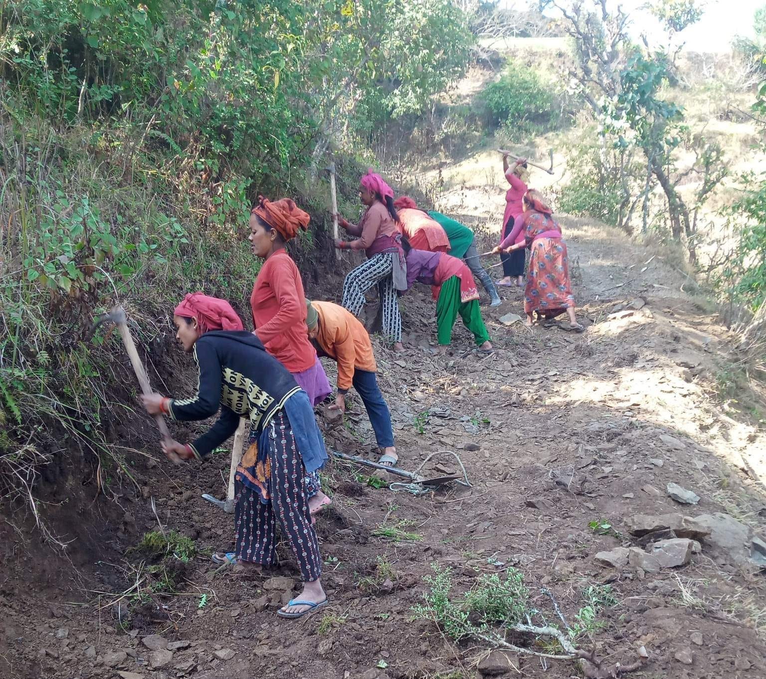 Photo20230420Salyan