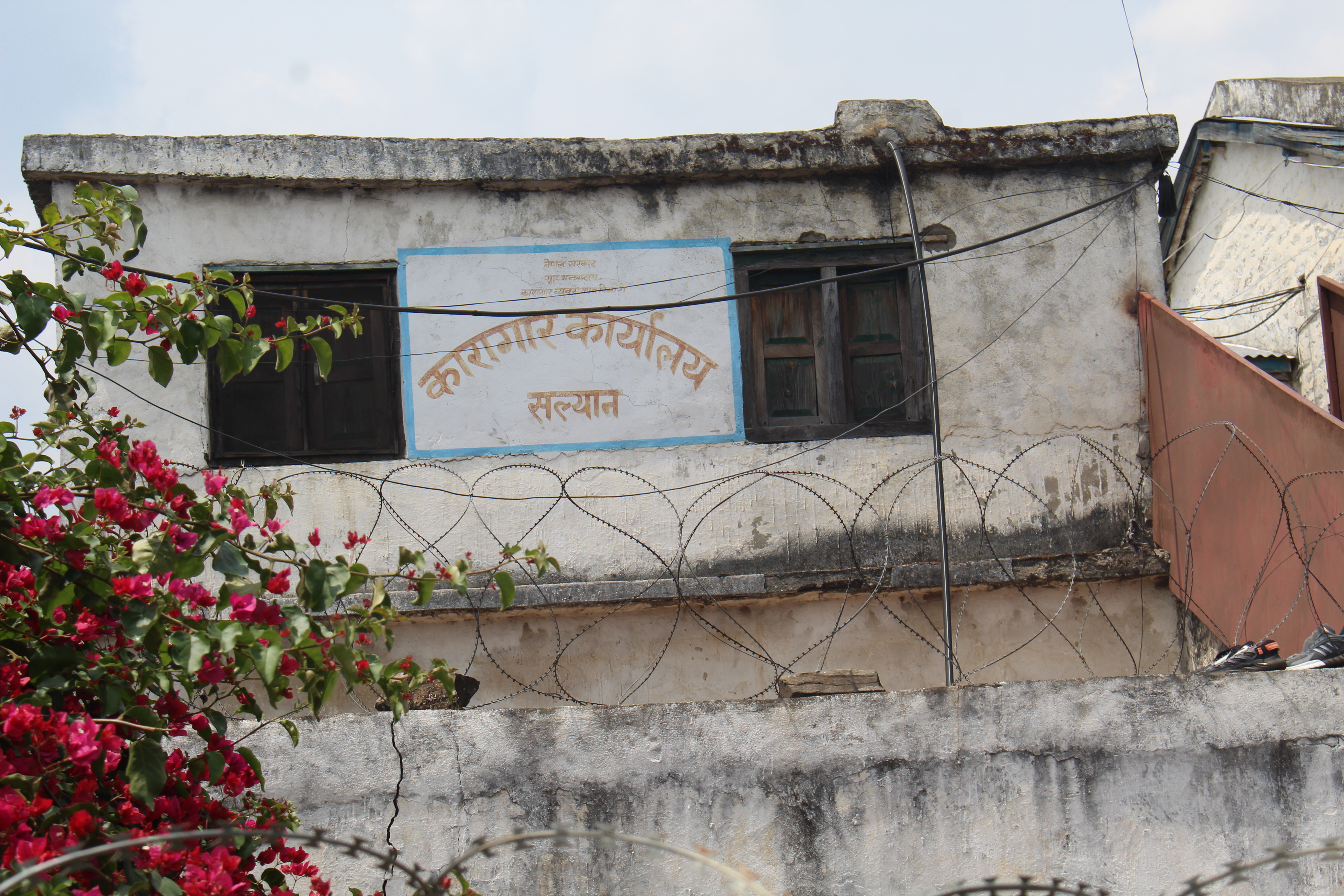 Photo20230426Salyan