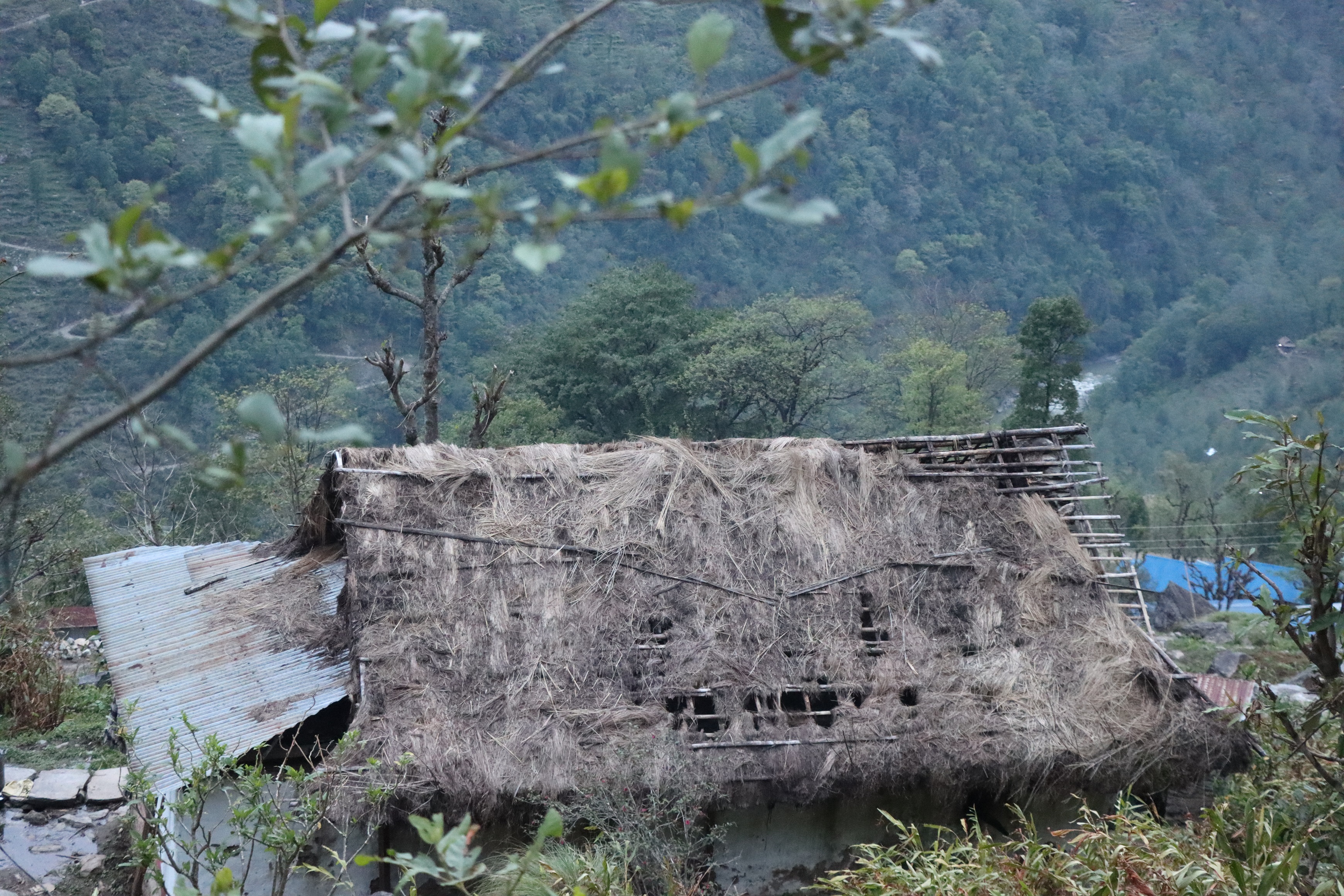 Photo 20230510 Taplejung (1)