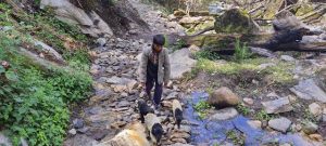 photo20230515darchula (2)