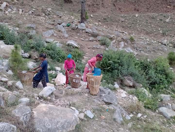 Photo20230811Salyan