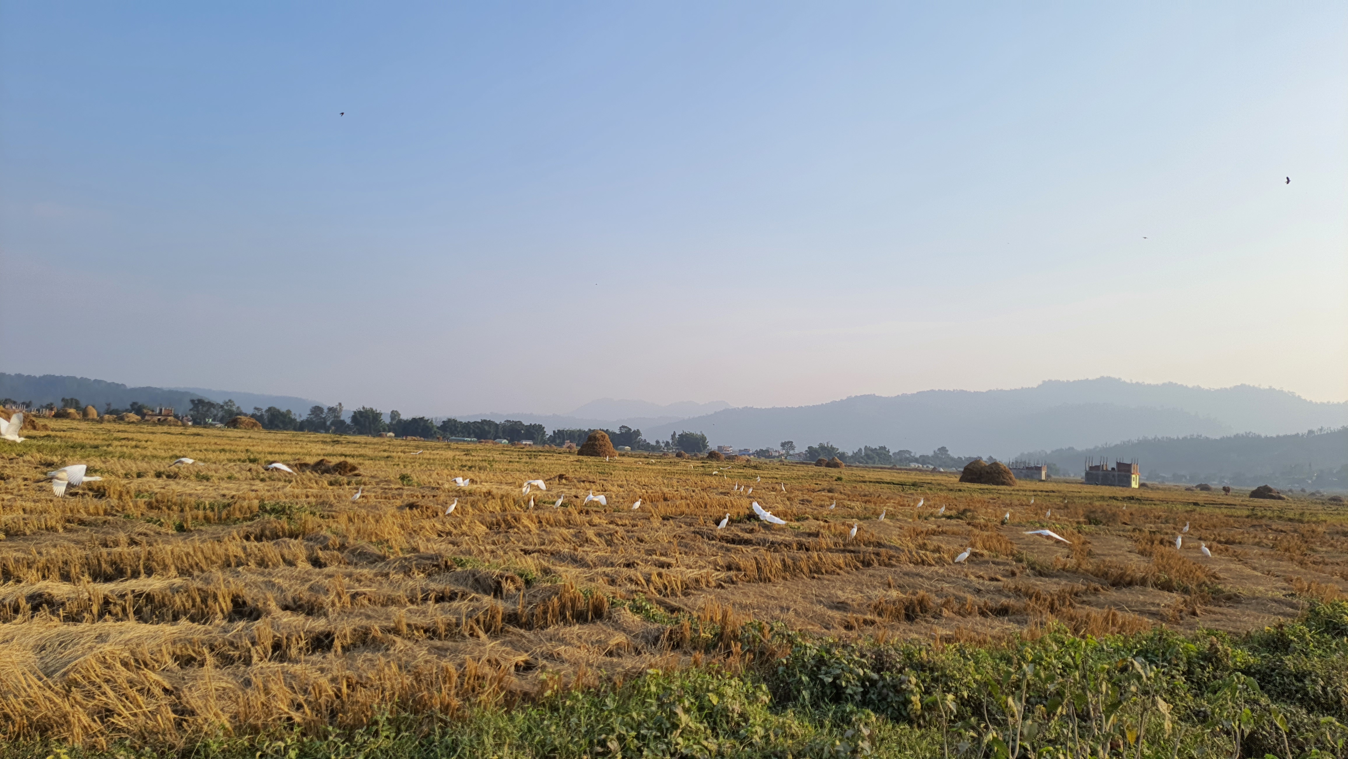 Photo20230823 Surkhet (1)