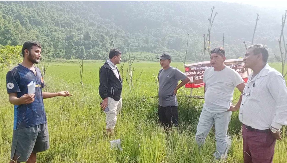 mcc ko jagga kabja.3