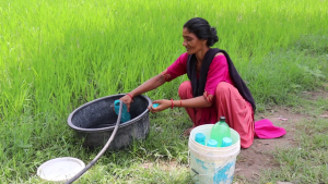 photo20230803kanchanpur (2)