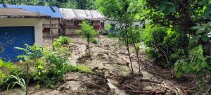 photo20230809bdarchula (1)