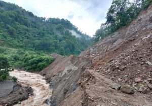 photo20230809bdarchula (5)