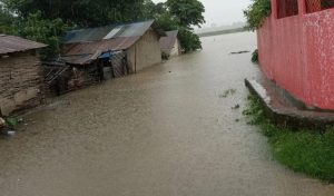 photo20230809kanchanpur