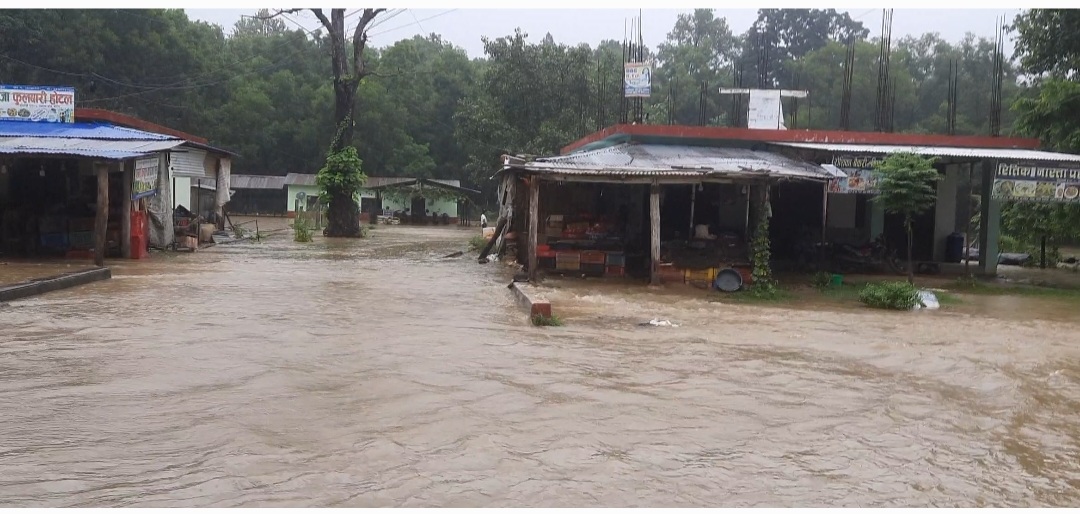 photo2023081501bardiya