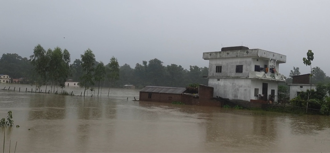 photo2023081502bardiya.