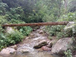 photo20230815dadeldhura (2)