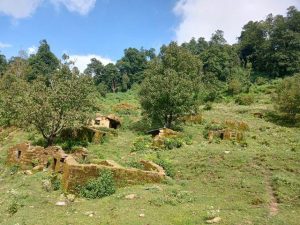 Photo20230915doti