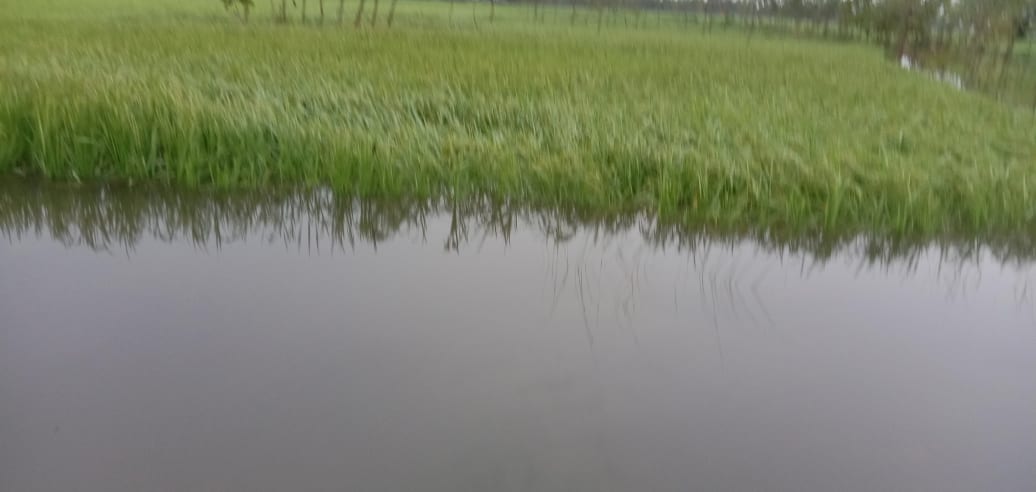 Photo 202101021 Morang (1)