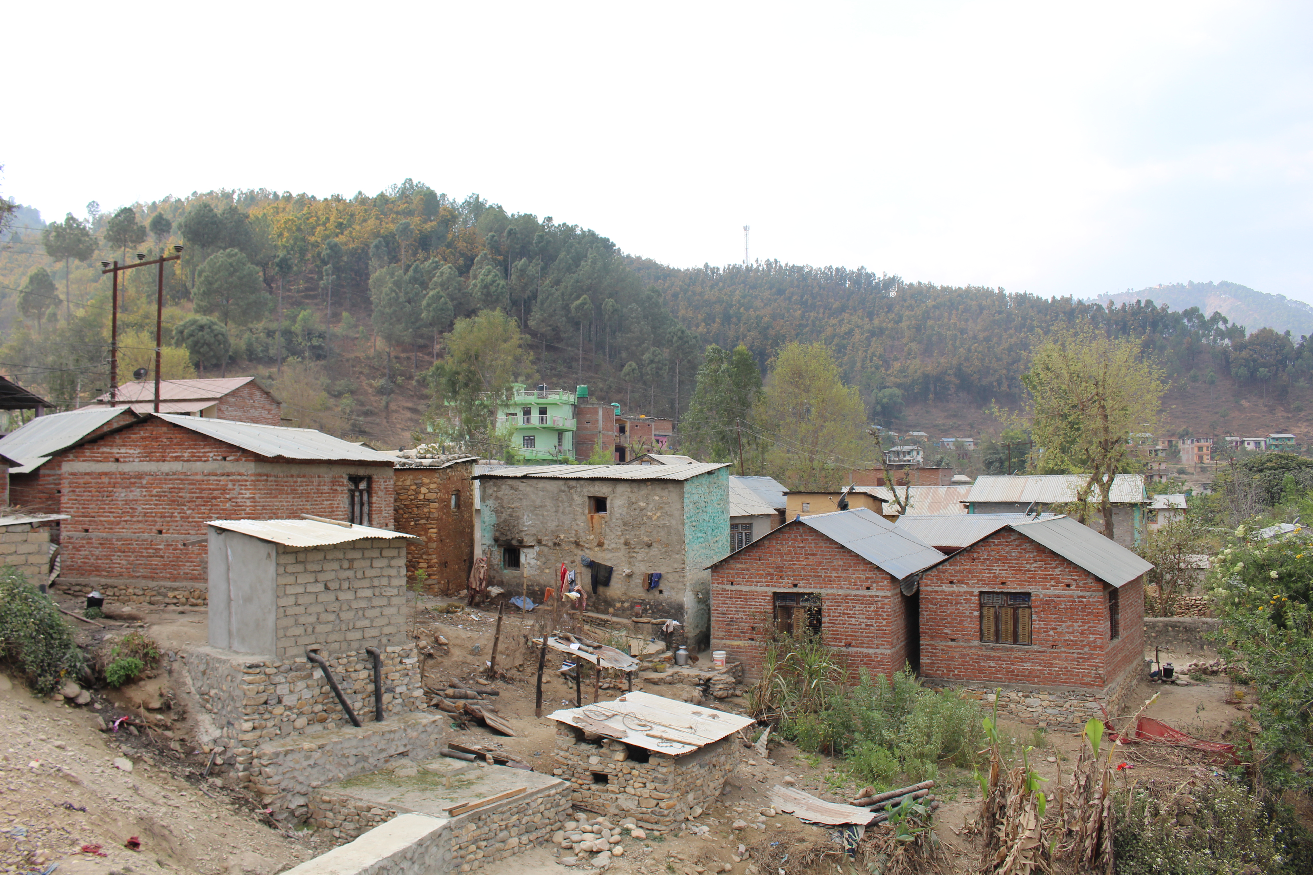 Photo20231127Salyan (3)