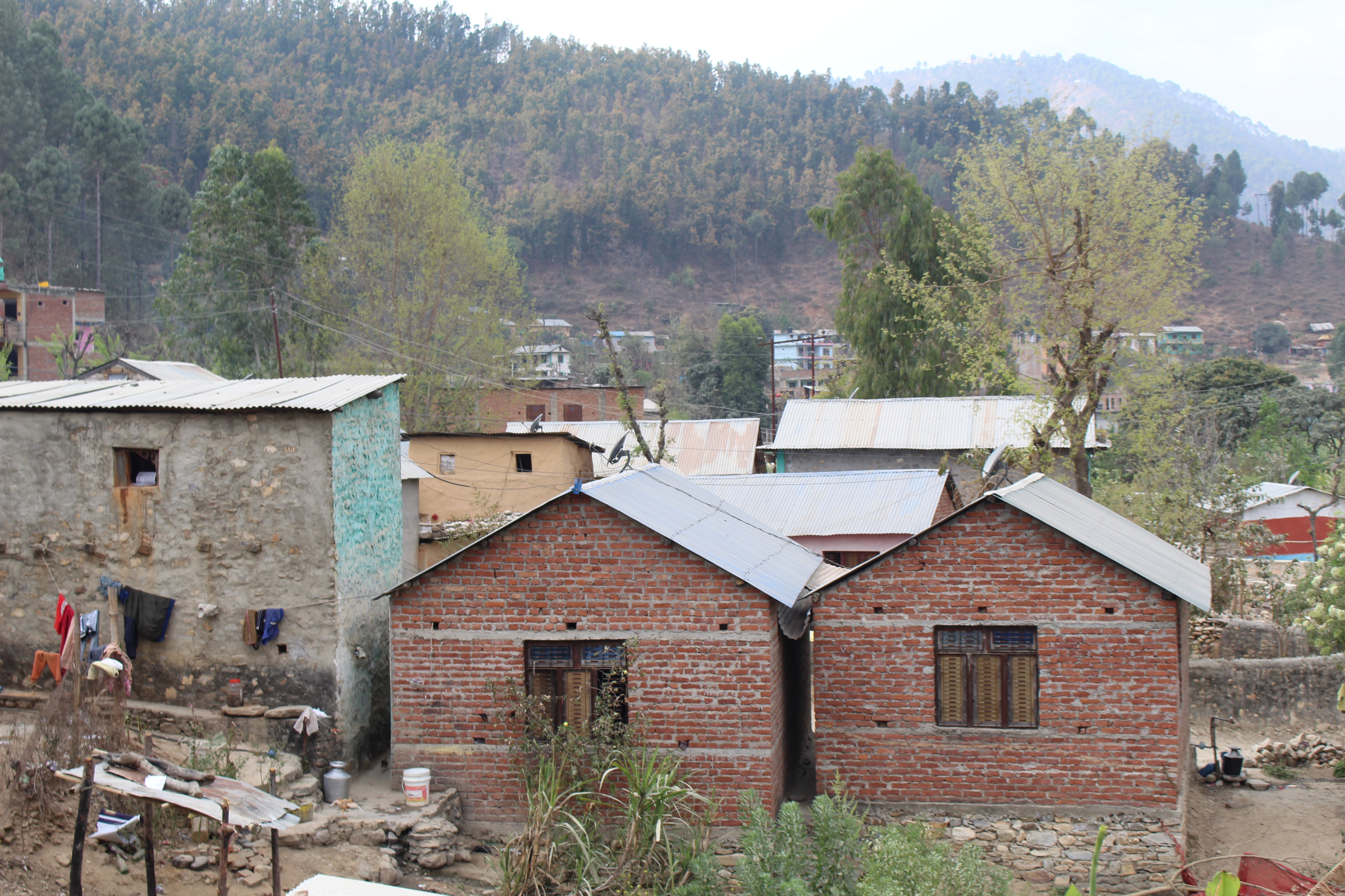 Photo20231127Salyan (4)