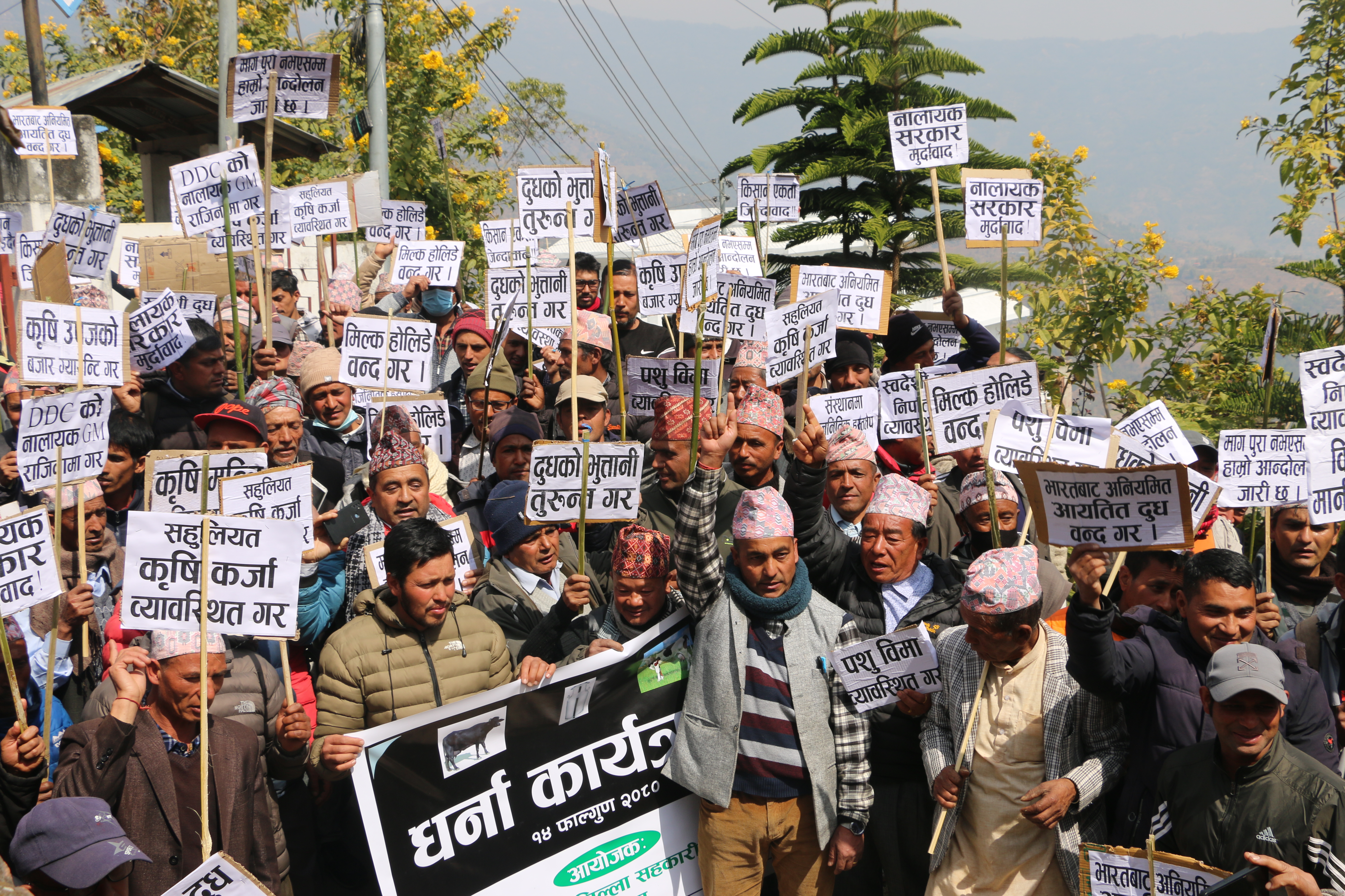 Photo 20240229 Dhankuta (3)