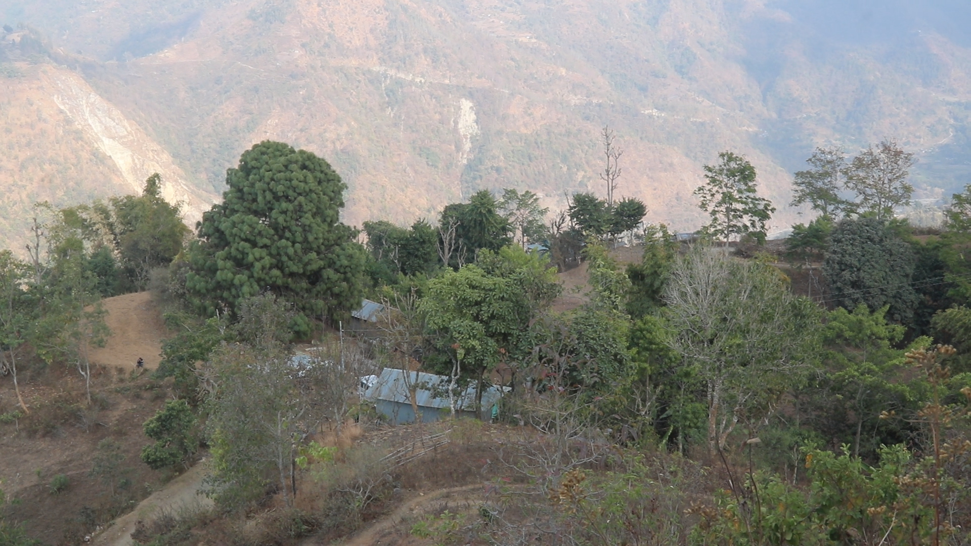 Photo 20240306 Dhankuta (2)
