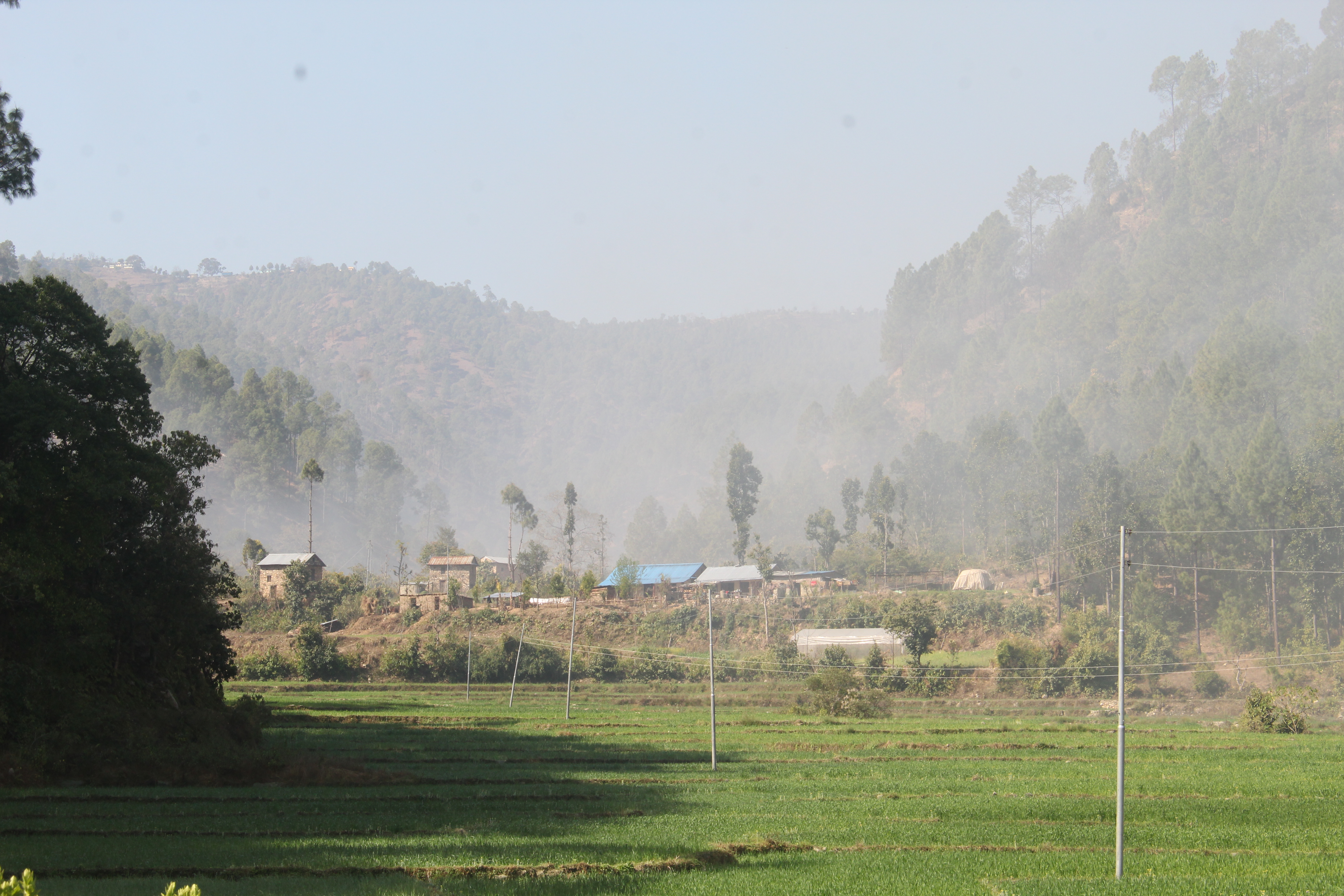 Photo20240303Salyan (1)