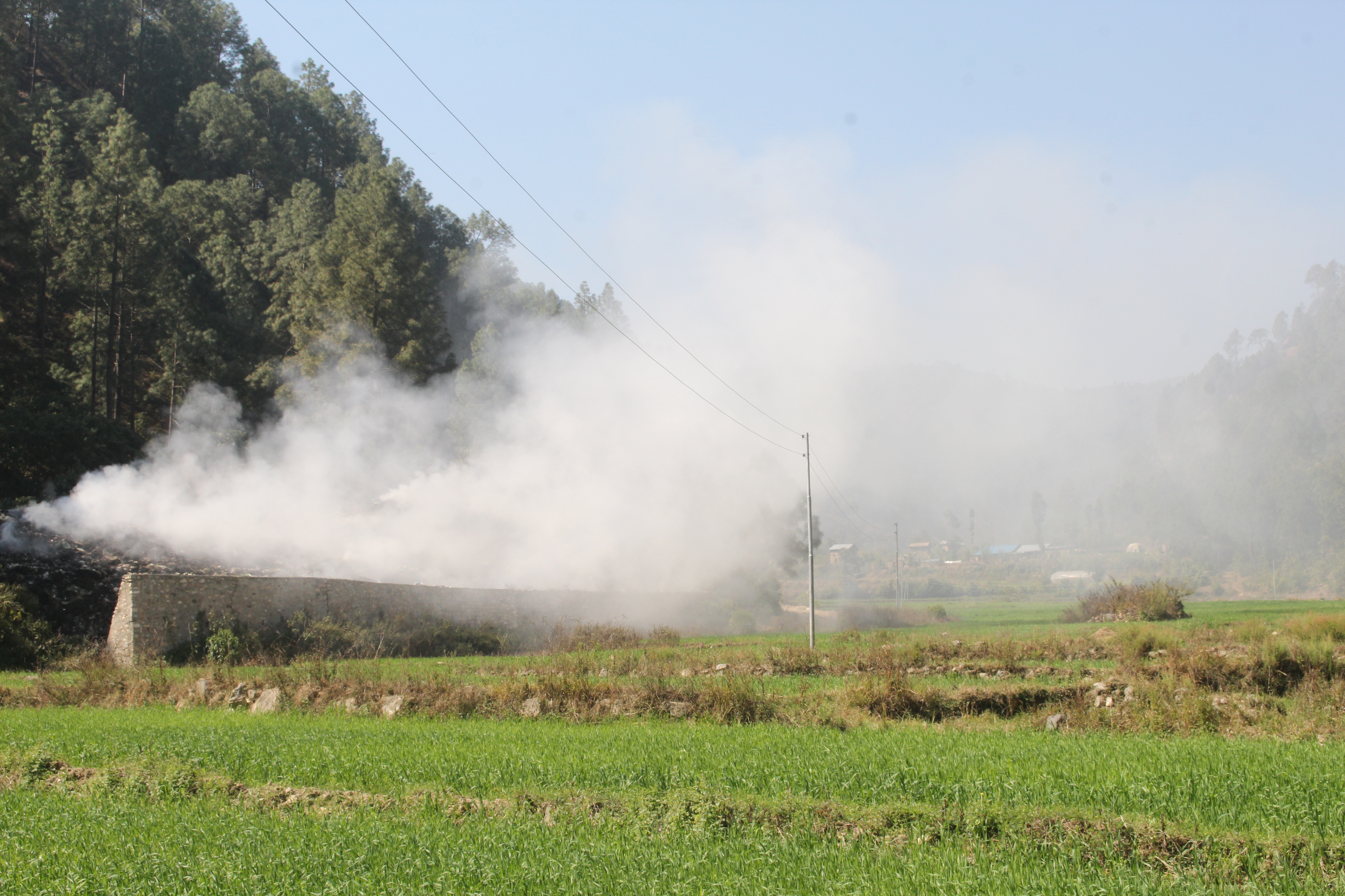 Photo20240303Salyan (2)