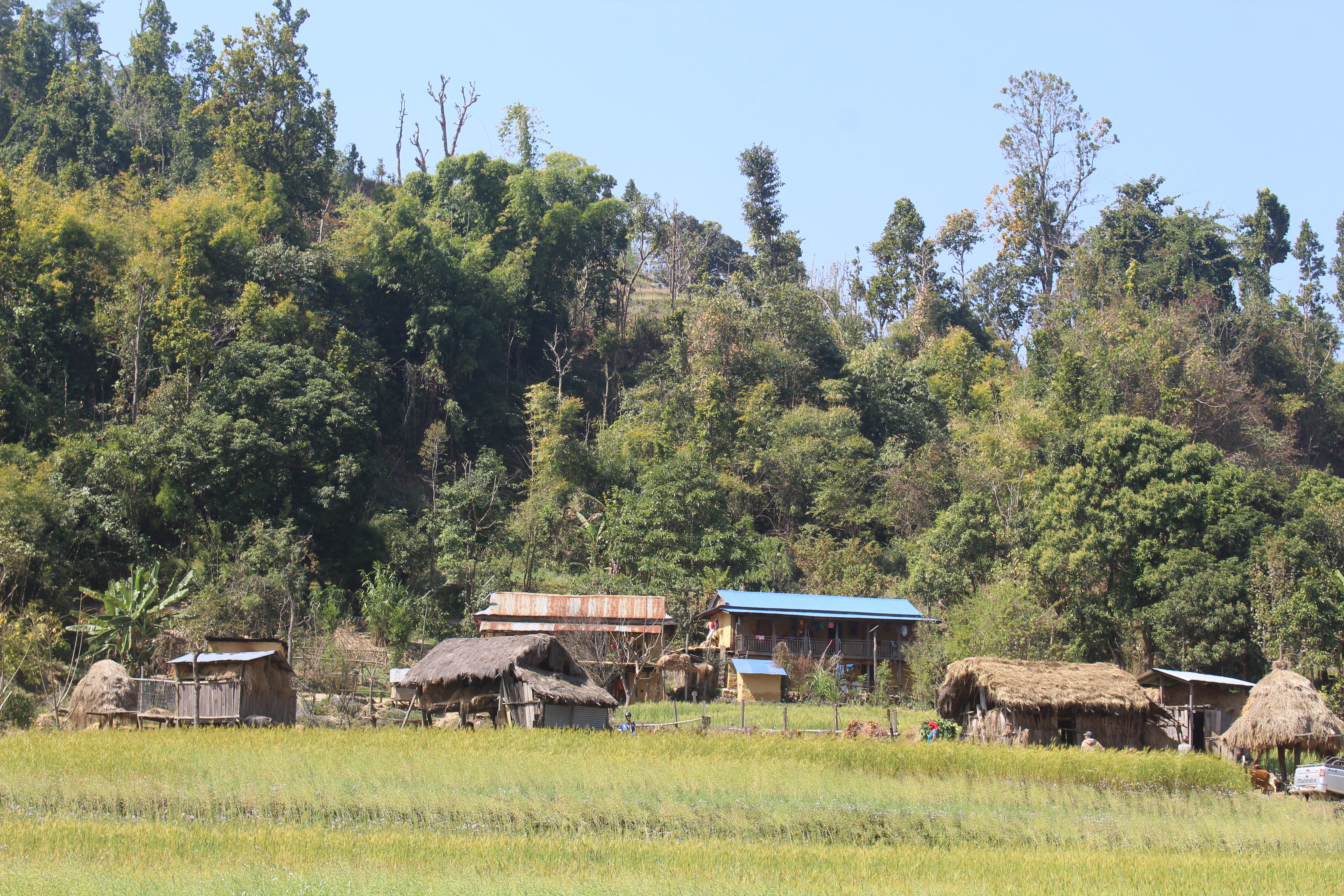 Photo20240316Salyan (1)