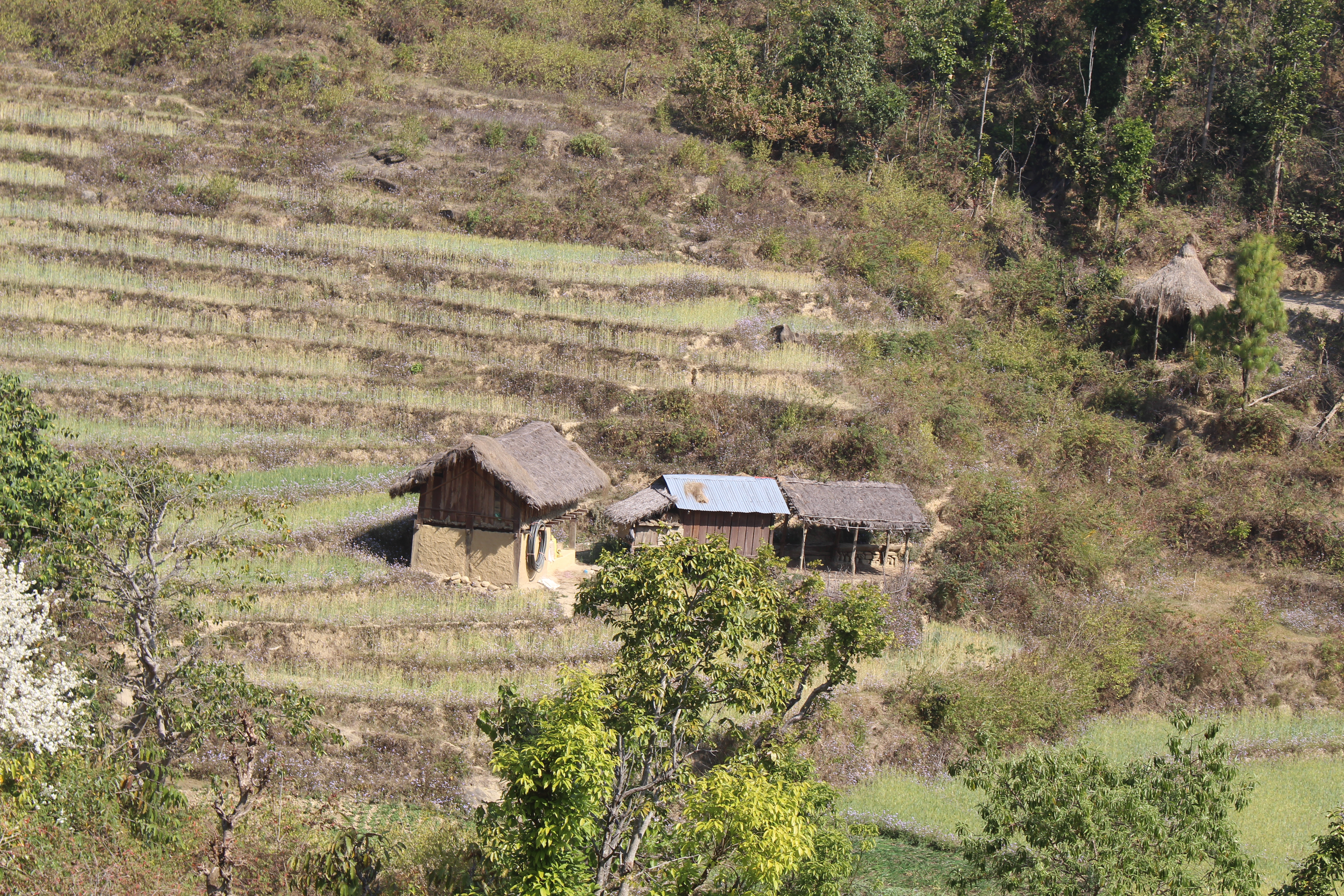 Photo20240321Salyan (1)