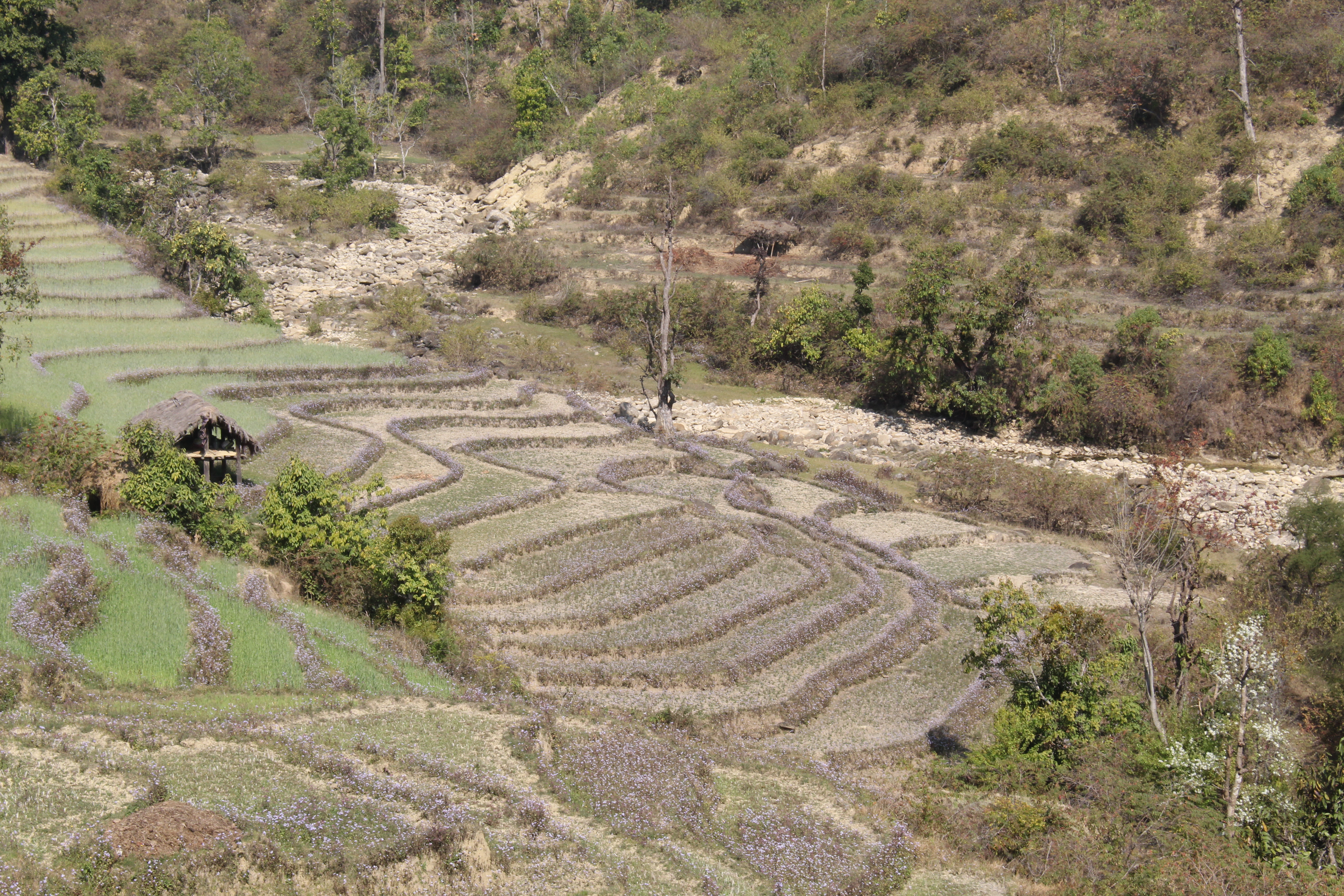 Photo20240321Salyan (2)