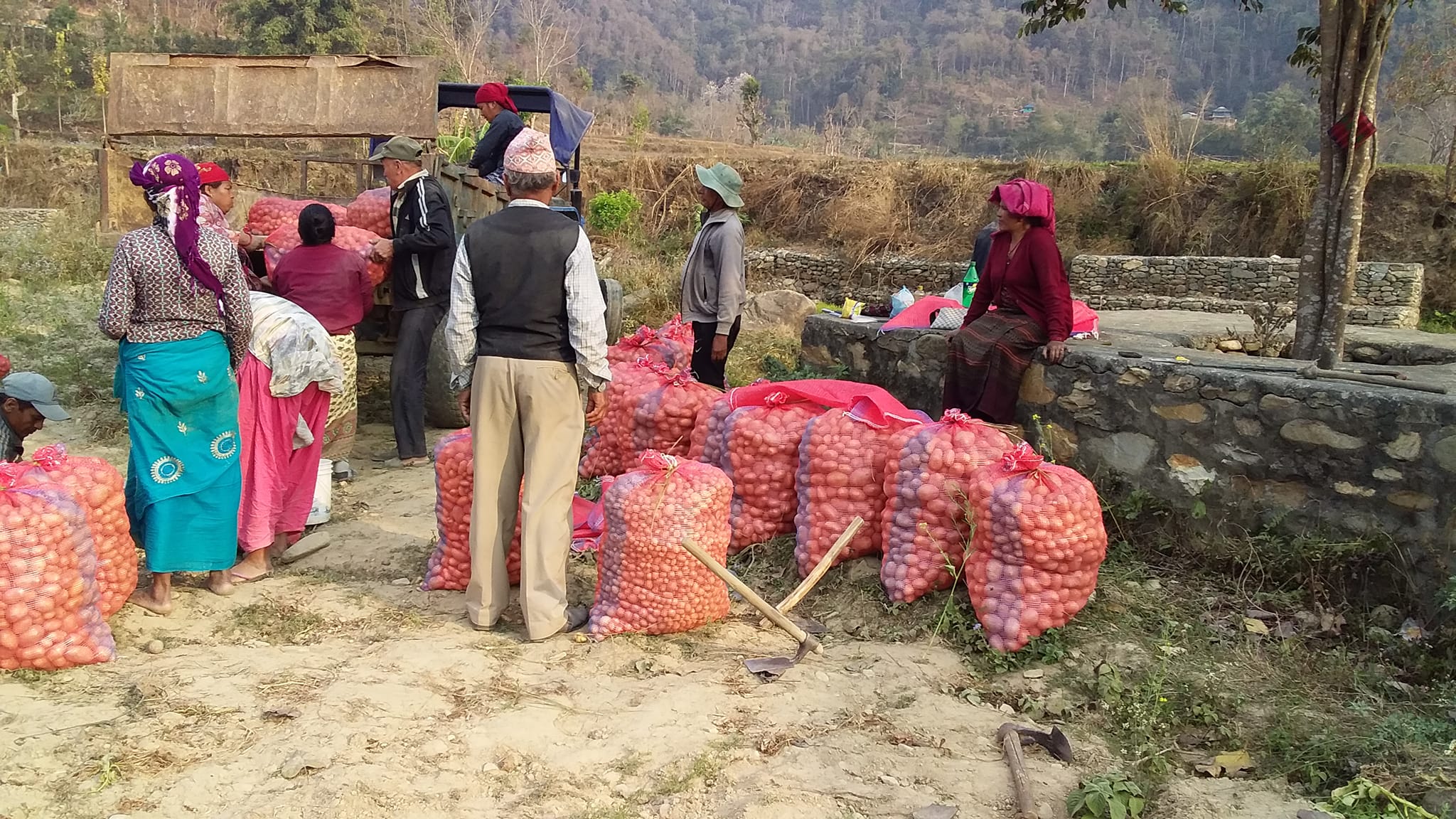 alu sankalan1 080-11-29 tanahun