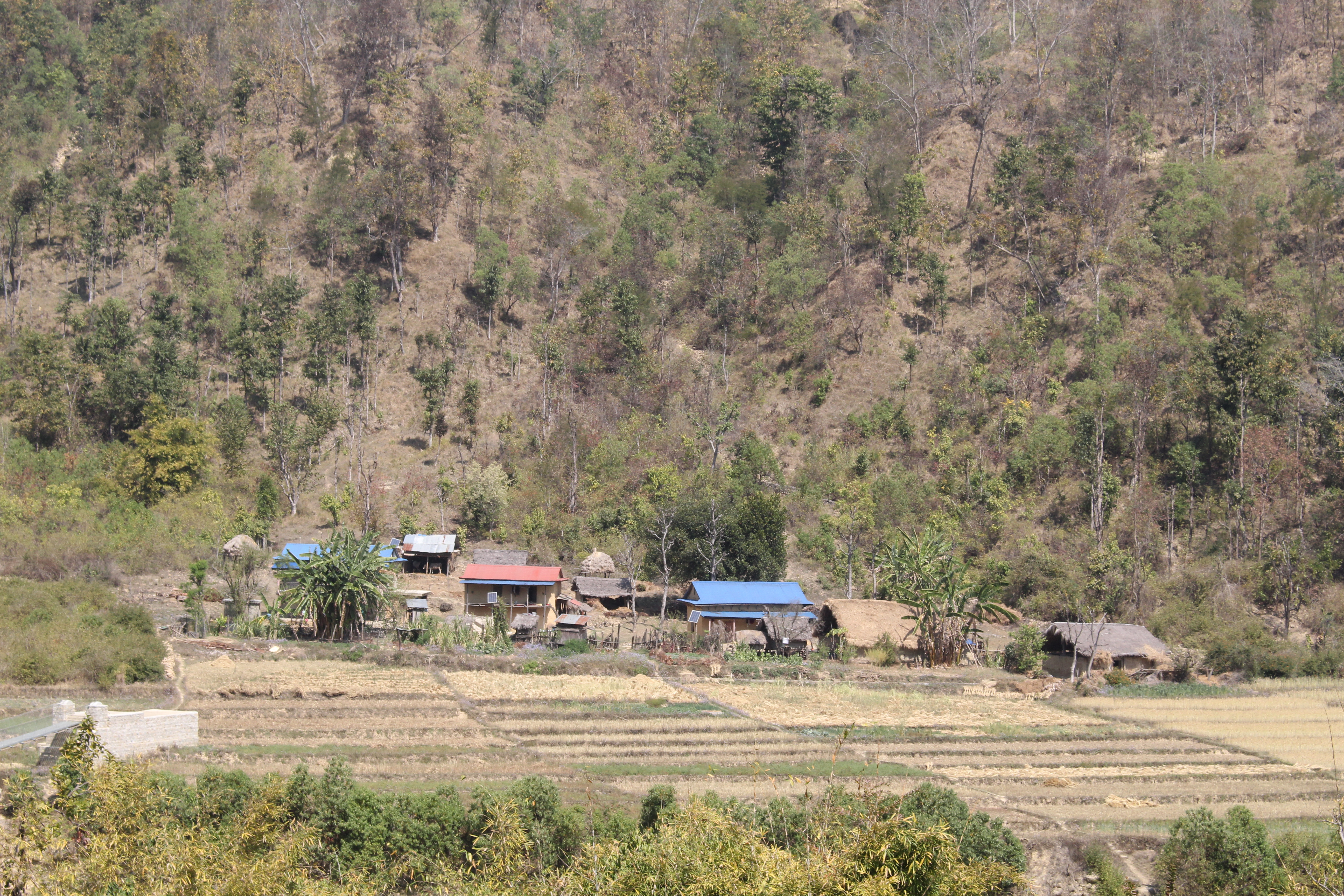 Photo20240411Salyan (2)