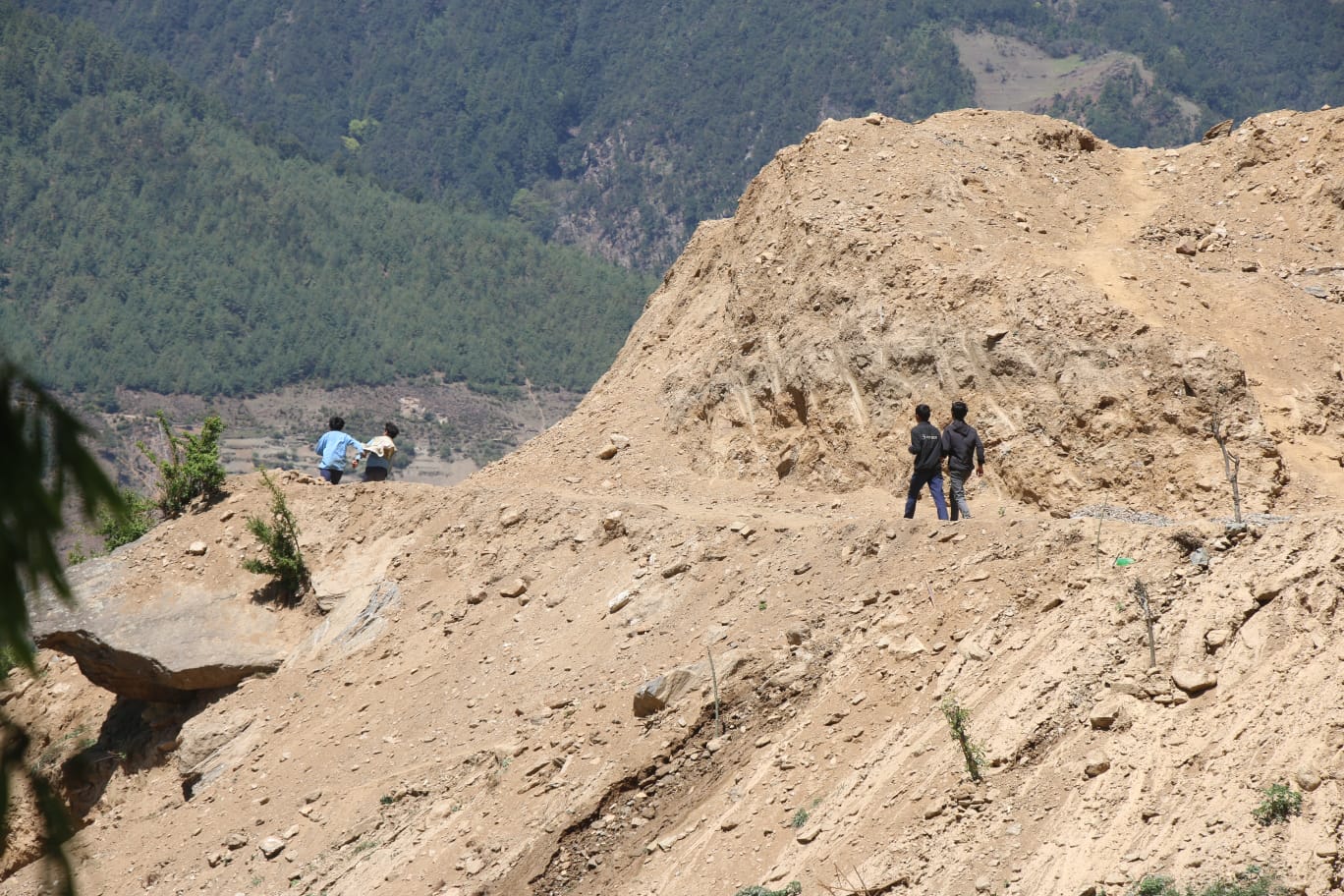 Photo20240527Dolpa (3)