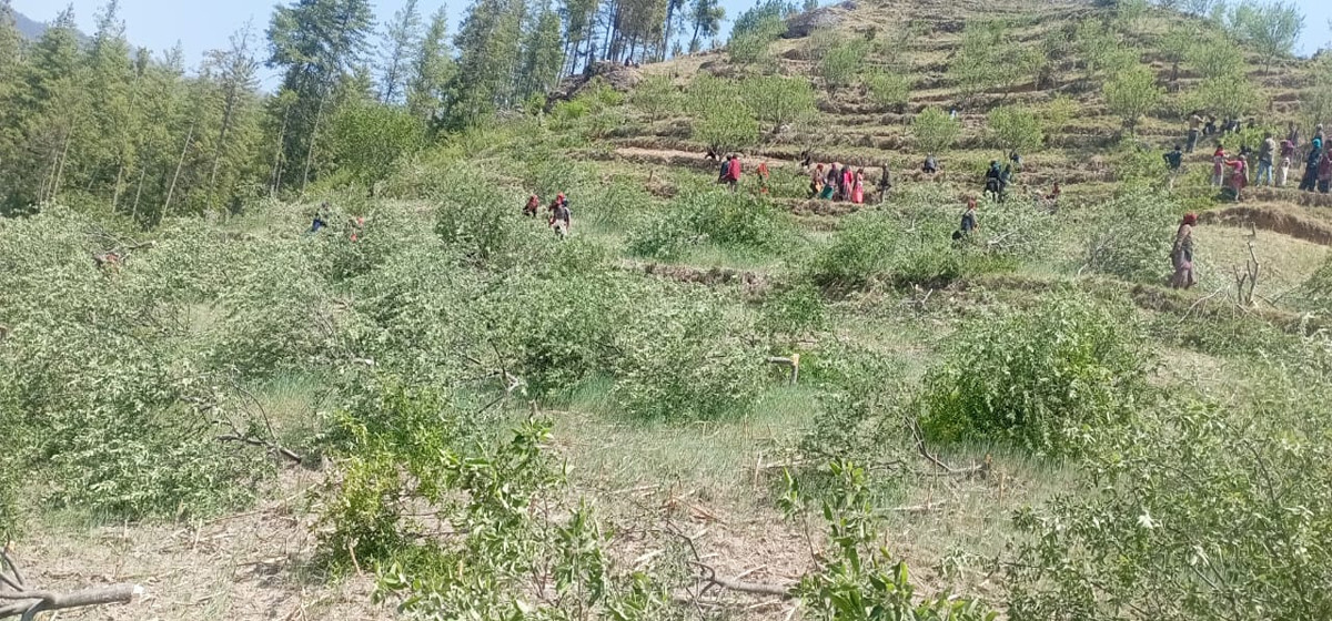 Photo20240527Jumlaa (2)