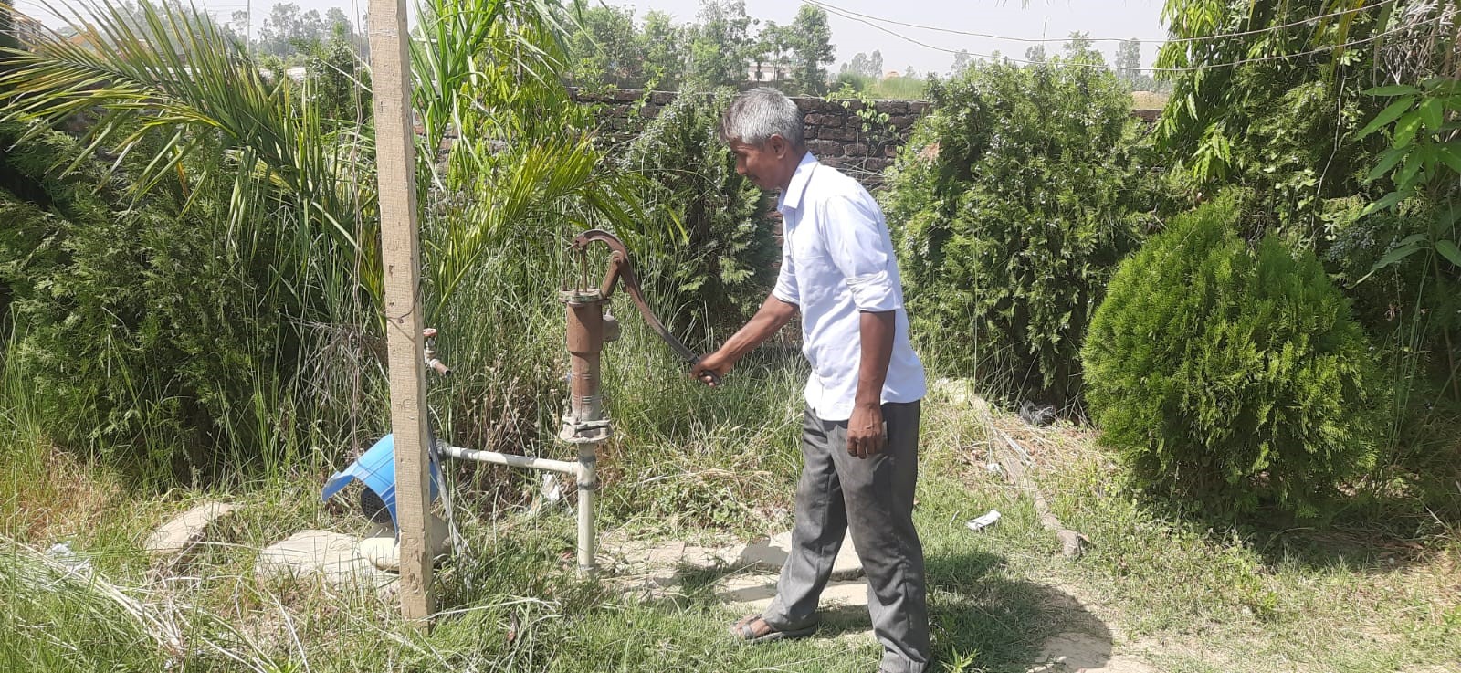Photo12062024Bardiya.jpg8