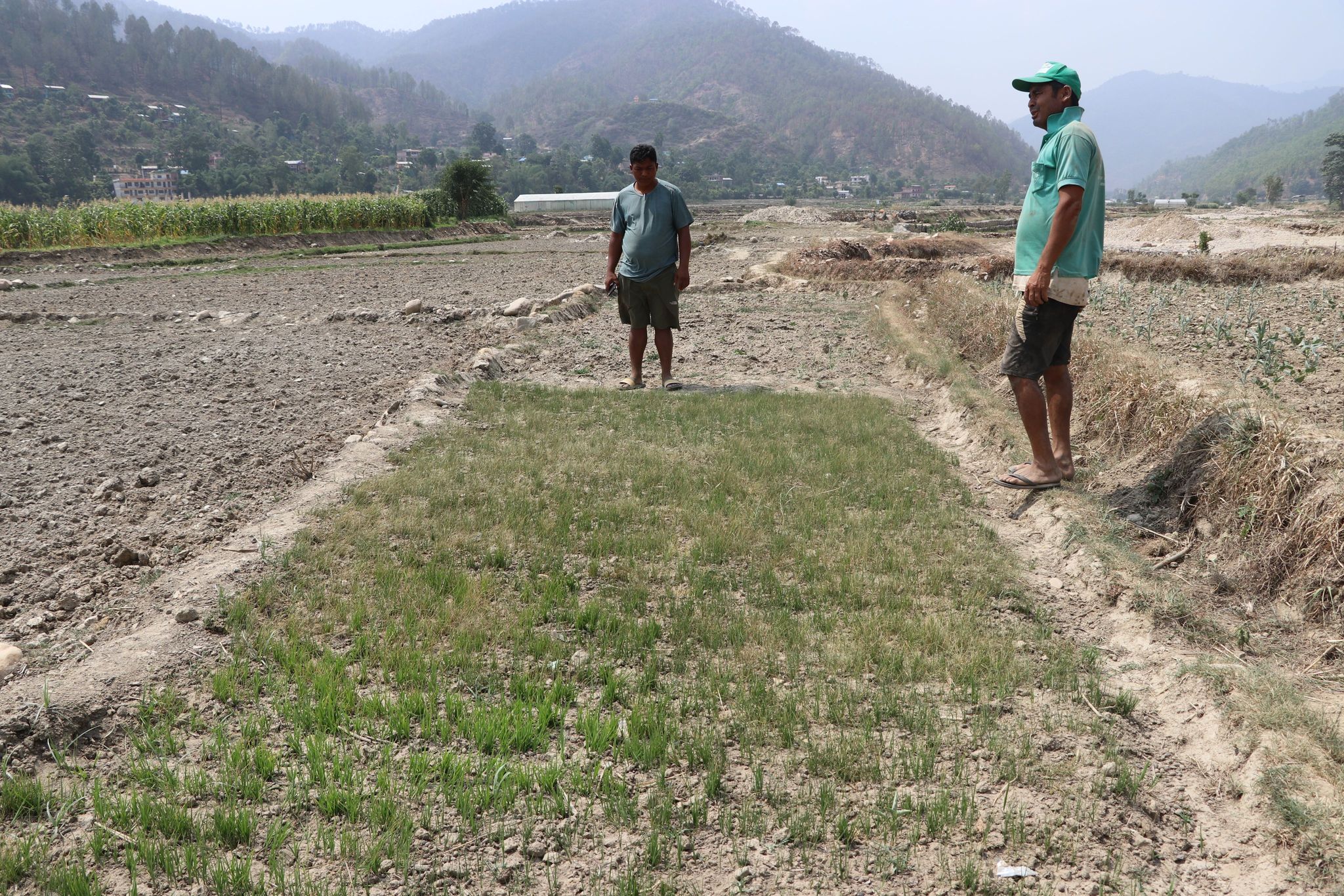 Photo20240618salyan