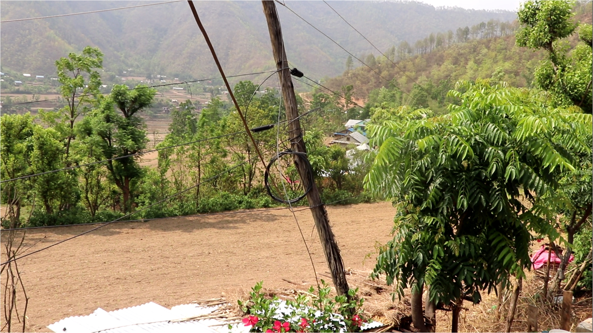Photo20240626Salyan (2)