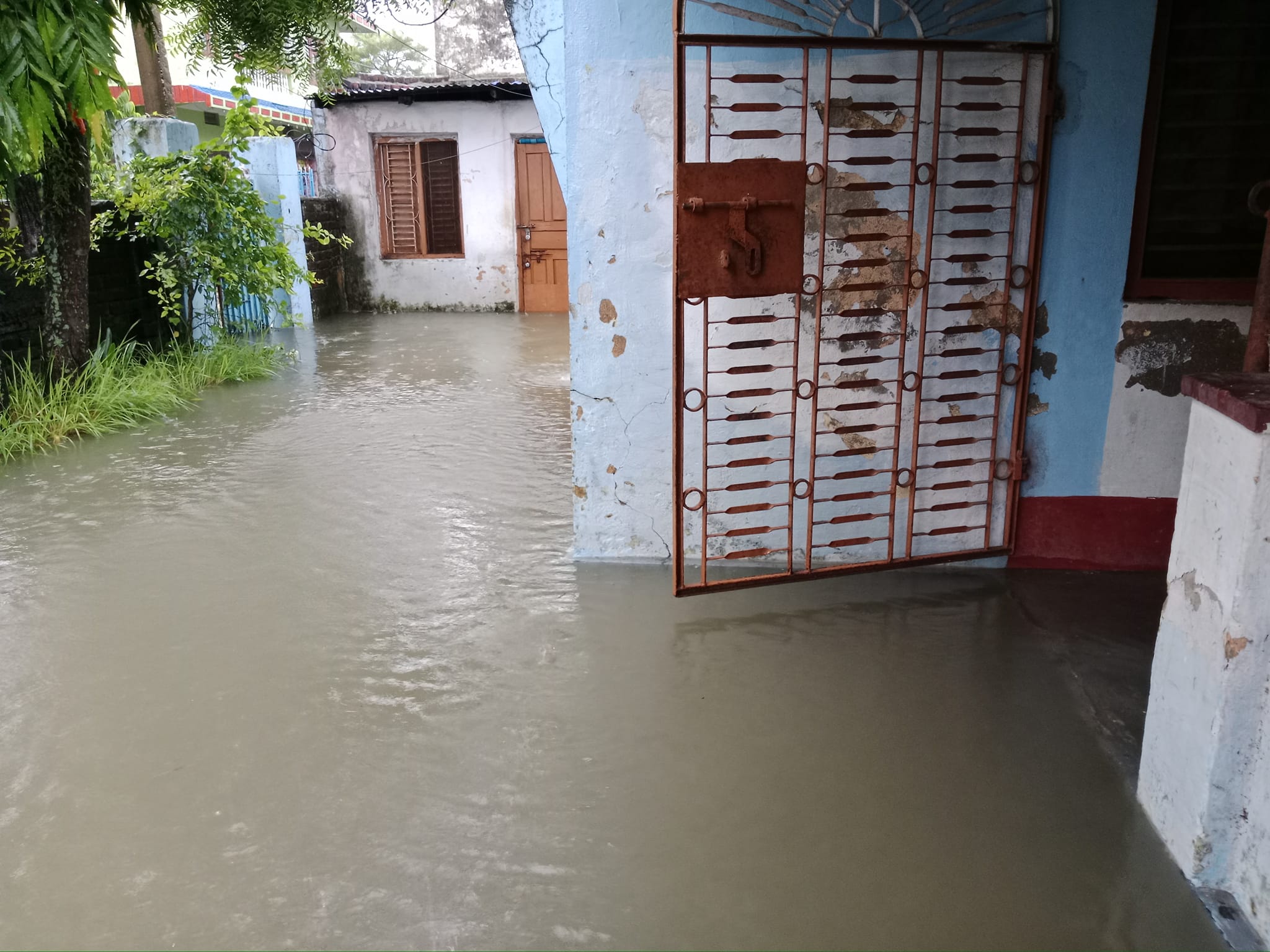 photo 20240626 Morang (1)