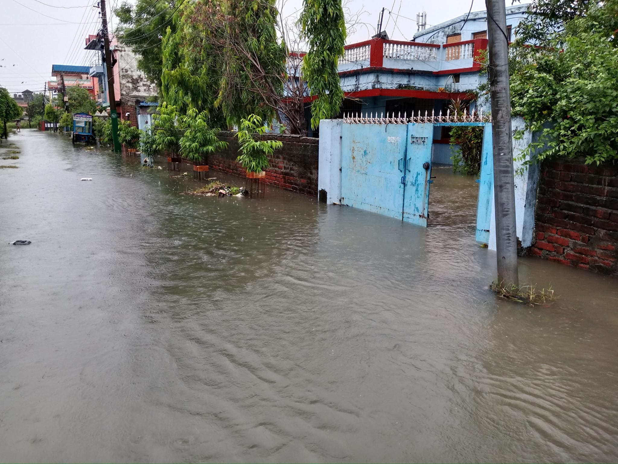 photo 20240626 Morang (13)