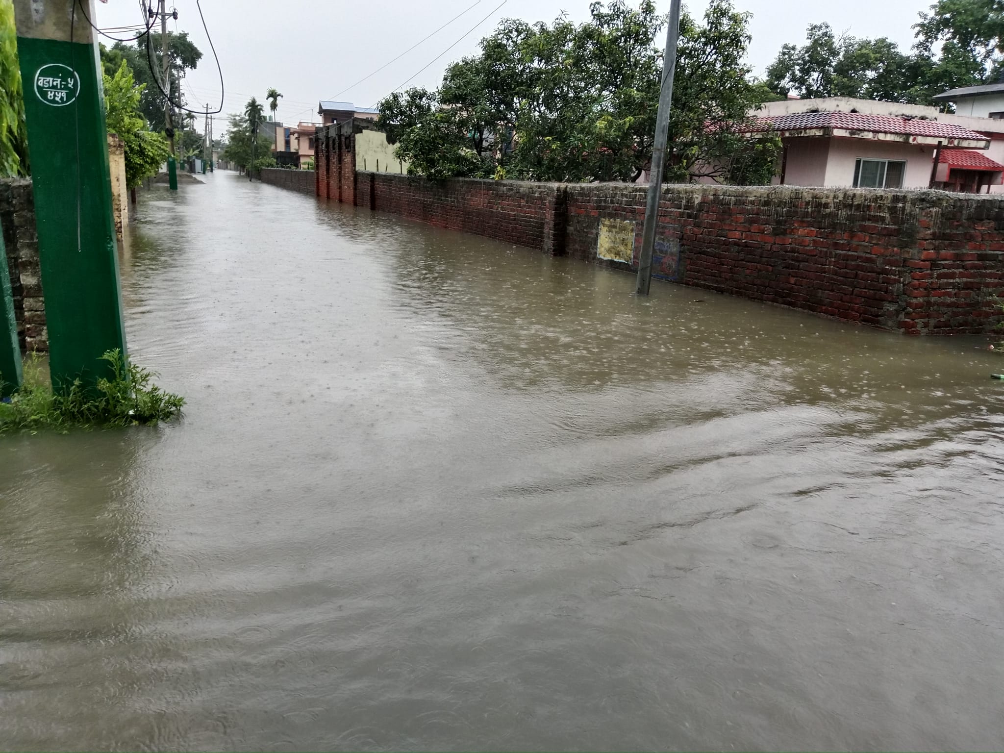photo 20240626 Morang (2)