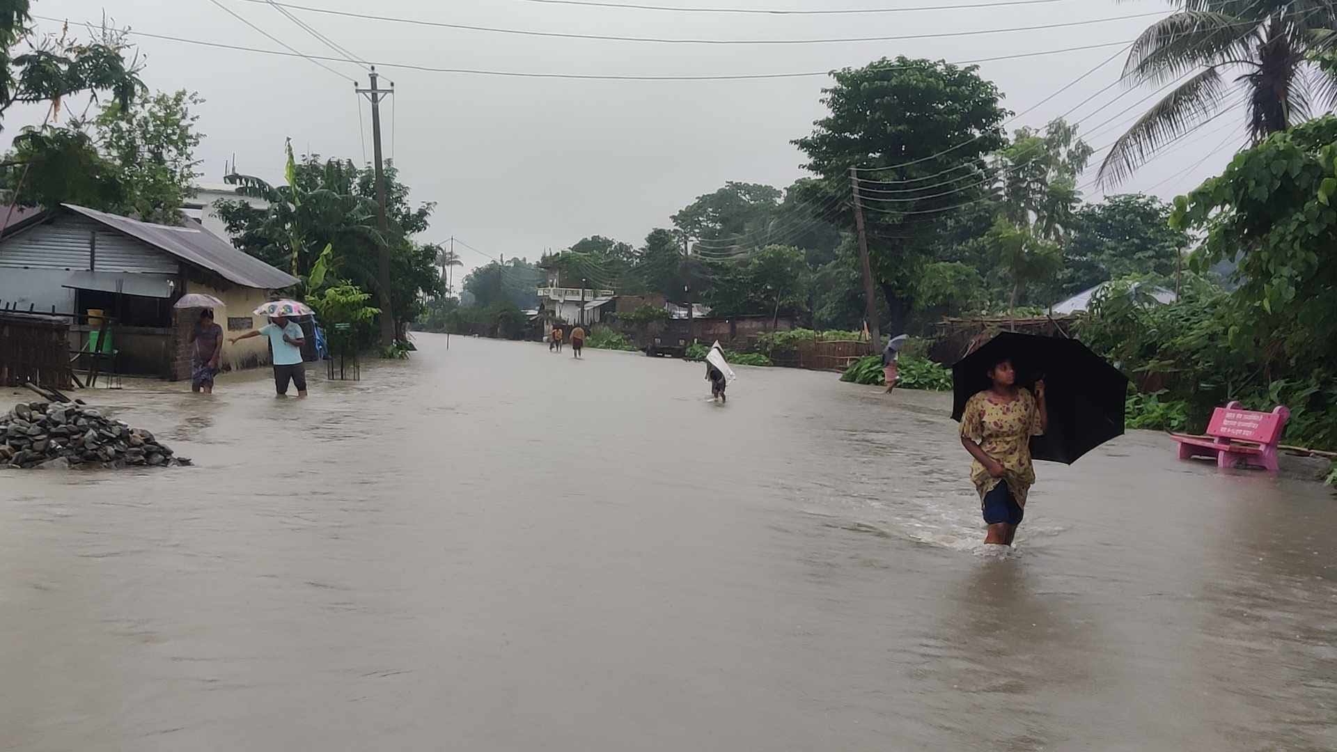 photo 20240626 Morang (3)