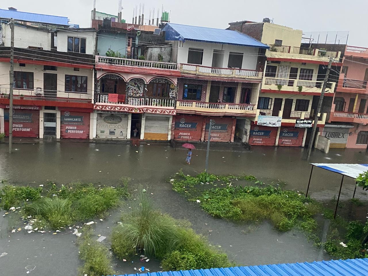 photo 20240626 Morang (6)