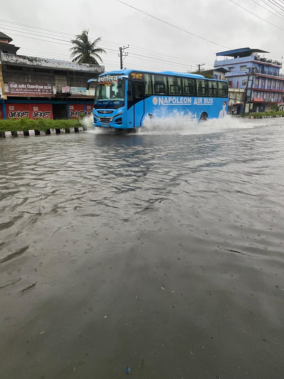 photo 20240626 Morang (8)
