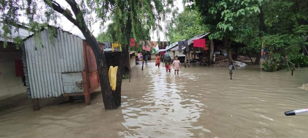 Photo08072024Bardiya