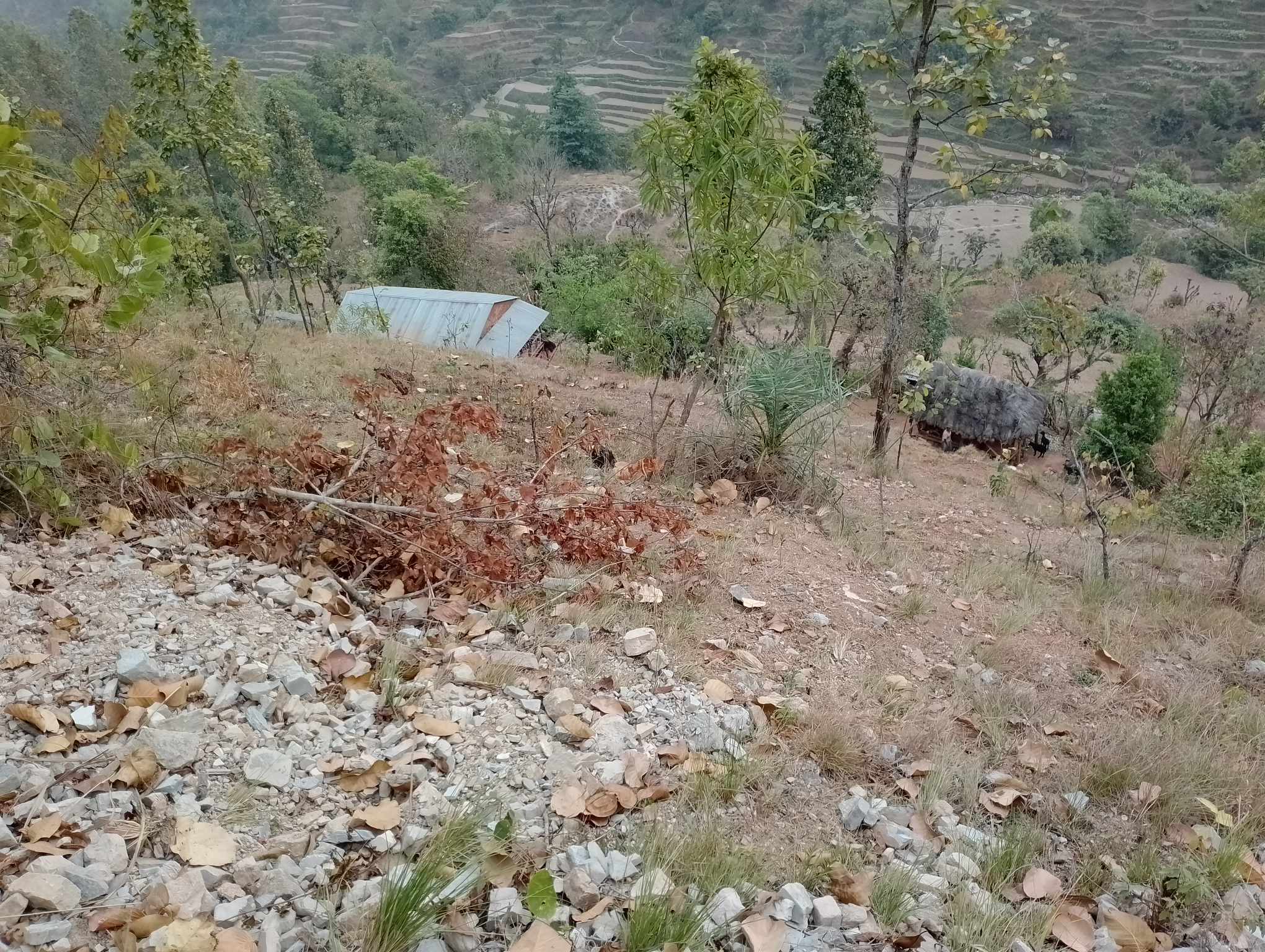 Photo09072024Palpa