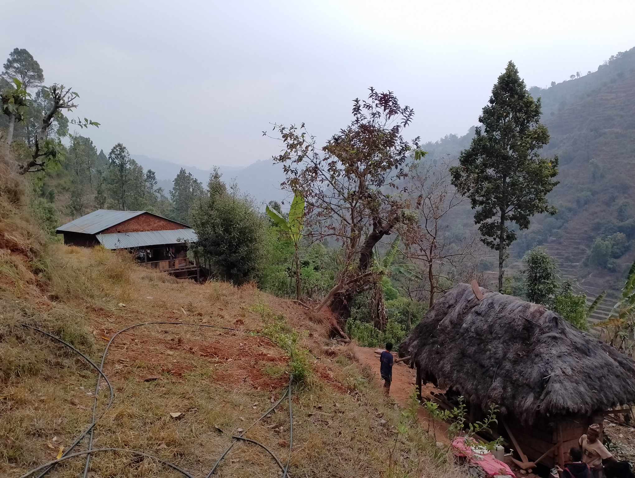 Photo09072024Palpa6