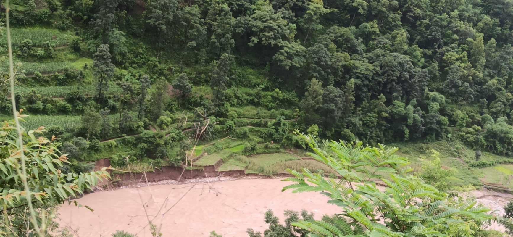 Photo19072024Gulmi1