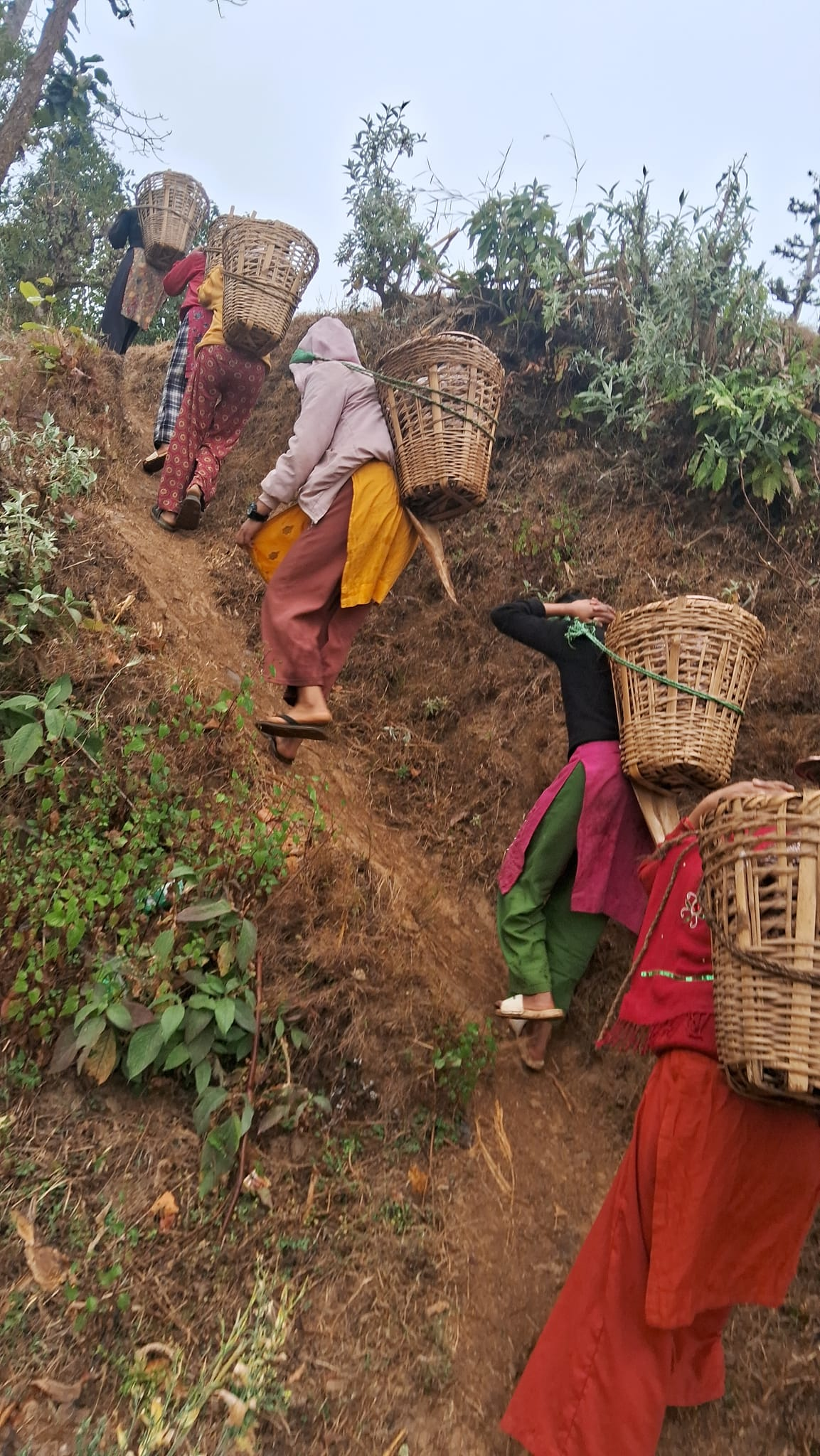 Photo20240701Salyan