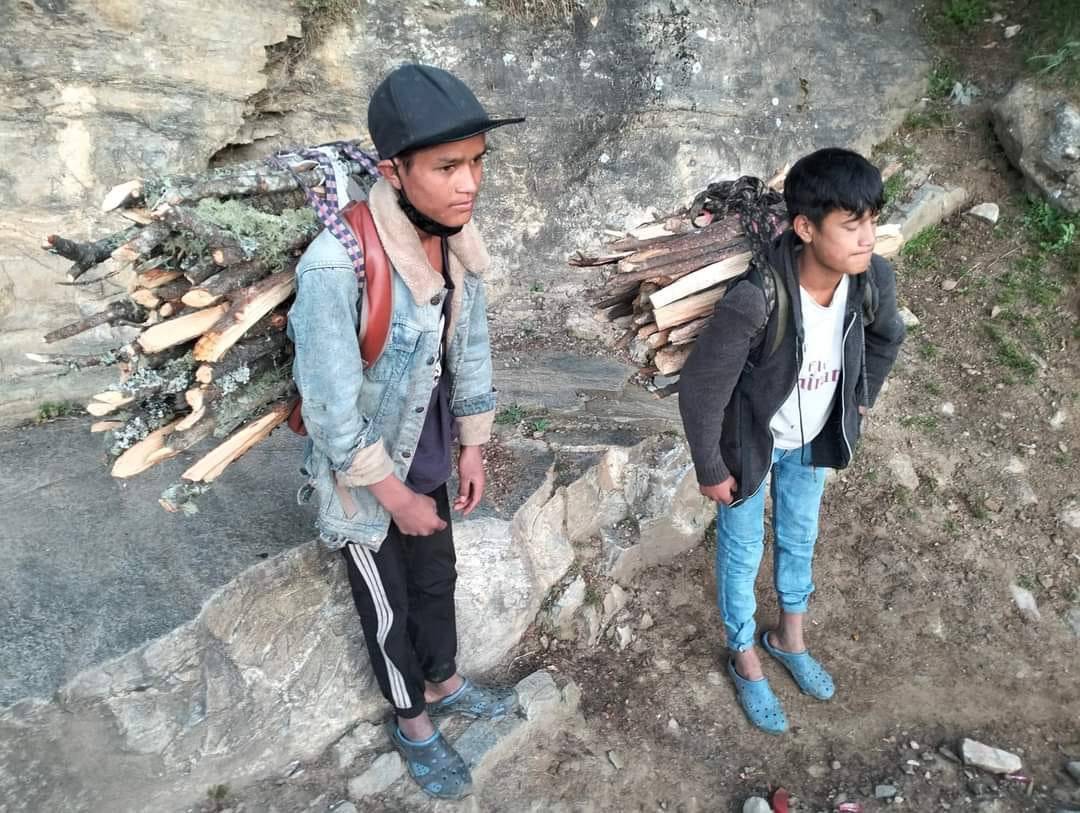 Photo20240704Humla (1)