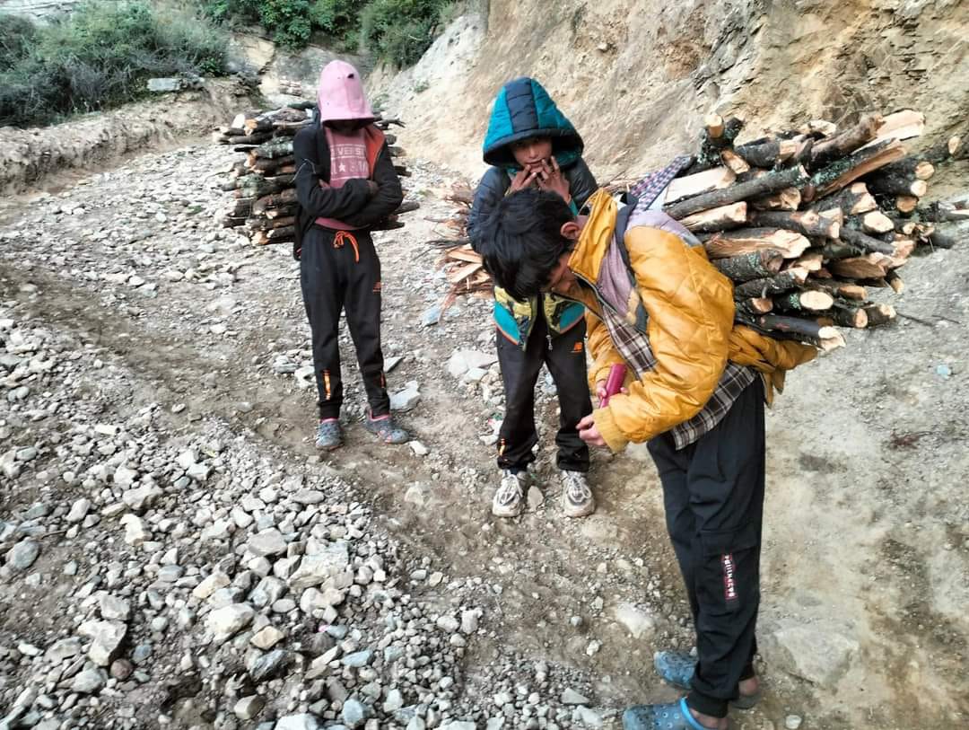 Photo20240704Humla (2)