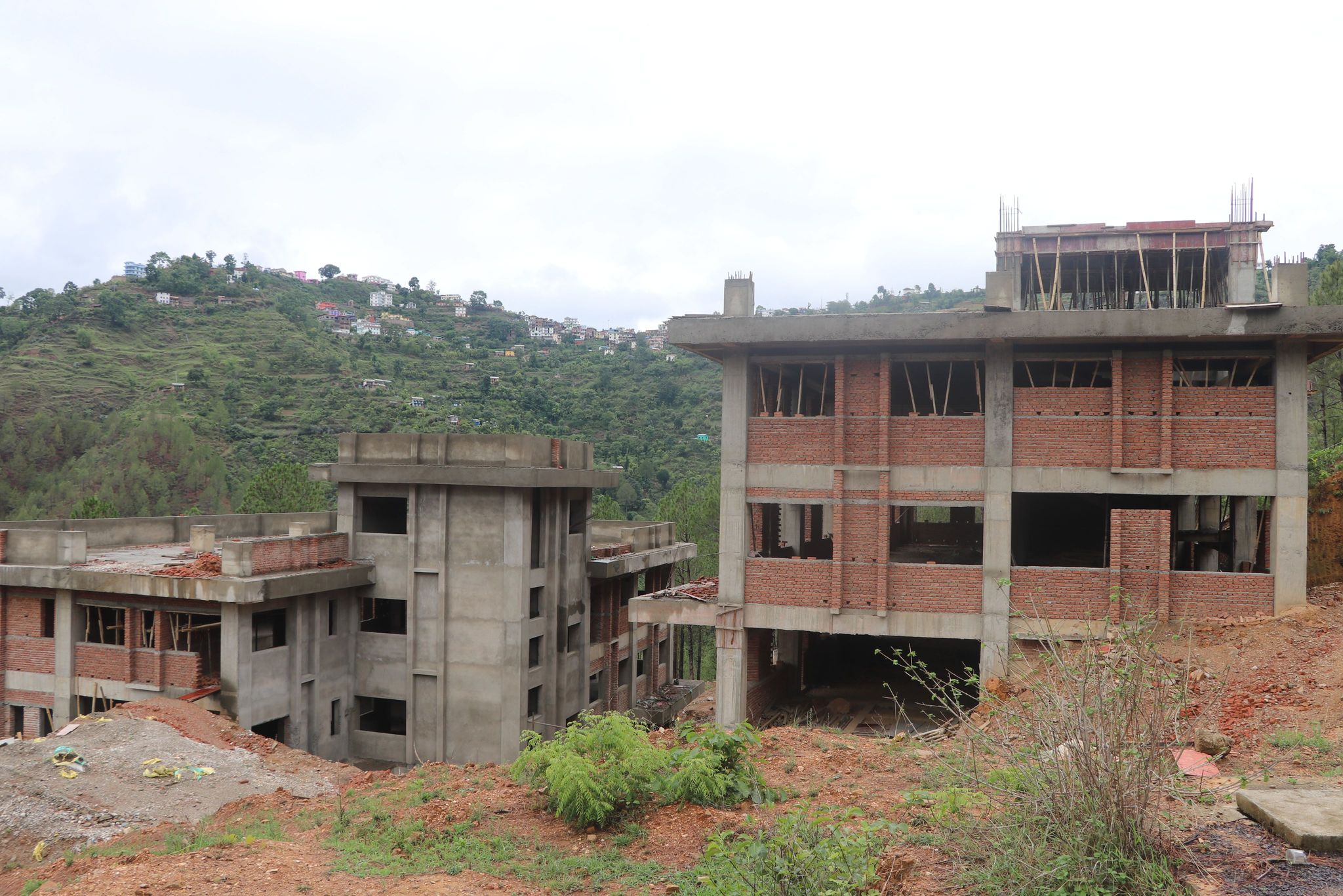 Photo20240706Salyan (1)