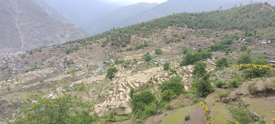 Photo20240721Humla (1)